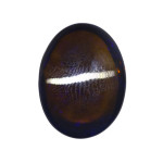 Australian Black Opal Without Fire - 9.55 Carat / 10.50 Ratti